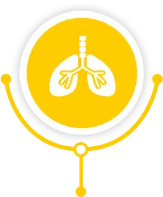 Restores and Rehabilitates Organs Affected From Diabetes Restores and Rehabilitates Organs Affected From Diabetes
